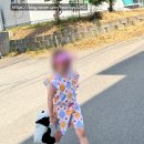 남대문 아동복 거리 속 보물 가게! 양말 요이 삭스 YOI 삭스