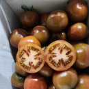 함양 부사&amp;크림슨 포도&amp;완숙토마토&amp;대저 토마토&amp;&amp;대추방울토마토&amp;성주 참외!!!! 이미지