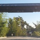 무이림5 이미지