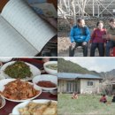 돼지칼국수 이미지