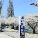 내차를부탁해 이미지