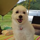 금수문화공원야영장(3) 이미지