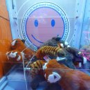 스마일뽑기방 이미지