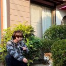 오구오구펫