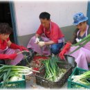 초록수채화 이미지