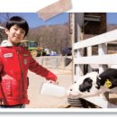 동현목장 이미지