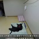 추자바다25시 이미지