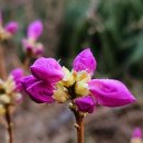 벧엘요양병원 이미지