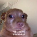 씨유복수마루미점 | 🐒 [일일 올리브 #146] 2023/07/13-14 : 일이 손에 잡히질 않아요 (항상..) 별 탈 없는 직장인일상