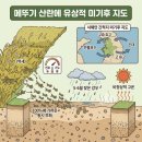 고흥군농업기술센터 | “러브버그보다 더 무섭다?” 최대 7cm 괴물 메뚜기 떼 출몰…고흥 간척지 비상 걸린 진짜 이유인트로