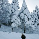 2024.2.25 대관령 선자령 눈산행 이미지