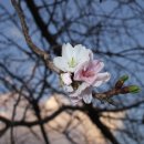 만지농장 이미지