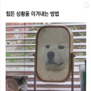 은서네 집밥 | 스물다섯, 스물하나 그 사이 어딘가에