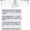 동강현대래프팅