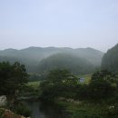 곰배령주니네민박