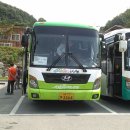 청양칠갑산구기자