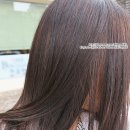 헤어압뜨 - 전주시 완산구 황강서원4길 13 | 건대 헤어삽 가격 싼 미용실 헤어압뜨 클리닉 후기