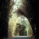 여수PC방 이미지