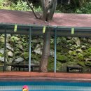 곰골산촌 이미지