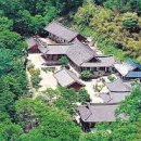 안동미래태권도장 네이버블로그