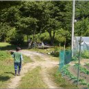 남진만농장 이미지