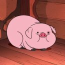 오레오마켓