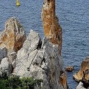 강릉사임당공인중개사사무소 이미지