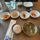 최고당돈가스 동해점 | [강원/동해] 거동탕수육 실패 후 찾아낸 대존맛 한우짬뽕국밥 맛집, '비비소' 솔직 후기!