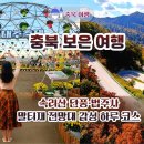 충청북도 보은군 보은읍 뱃들로 55-20 | 충북 보은 여행 – 속리산 단풍·법주사·말티재 전망대 감성 하루 코스