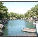 위미동백군락 이미지