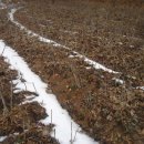 봉산면011 이미지