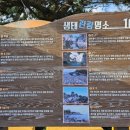 망장포구 이미지