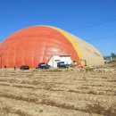 (주)티피팜 이미지