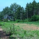 전원농장2 이미지