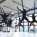 리엠 피지오 트레이닝센터 이미지