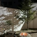 스테이 밭 이미지