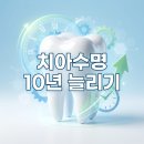 로덴치과의원(경성대,부경대점) 이미지