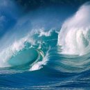 바다속이야기 이미지