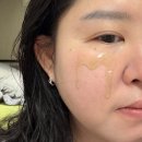 랑데자뷰 | [리뷰] 제주의 자연을 담은 비건 뷰티, 랑데자뷰 3종 사용 후기