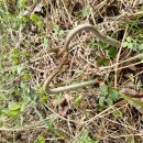 금당목장 이미지