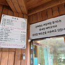 양평 맛집 든해솔, 구수한 양평 한식 먹고 싶다면 추천