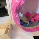 멍's살롱 이미지