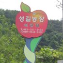 성길농장 이미지
