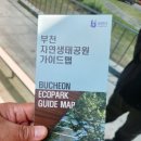 안골보리밥 이미지