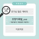 삼송삼계탕 | [호랑이족발 삼송점] 매콤 야들야들, 쫄깃한 족발 맛집(feat.솔직후기)