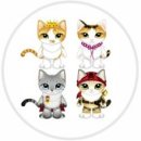 도그마미 이미지