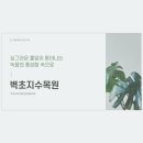 부모님과 놀러가기 좋은 파주, 일산 벽초지수목원