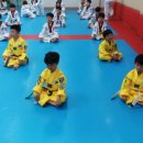 용인대스카이태권도 이미지