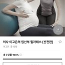 써티필라테스 | [필라테스] 이파마스터 임산부 산전산후 필라테스 강의 써티 획득 후기 (의사 이고은 강사)