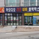 팔마카오디오